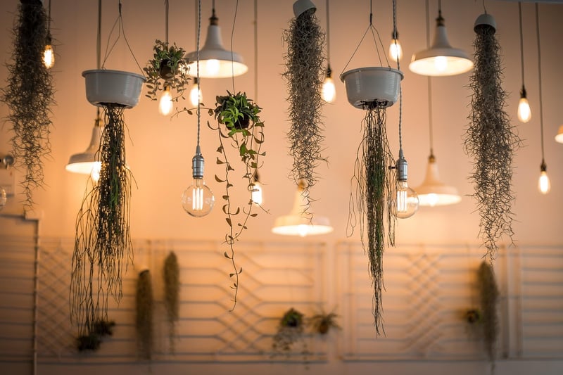 Fairytale Lighting Designs